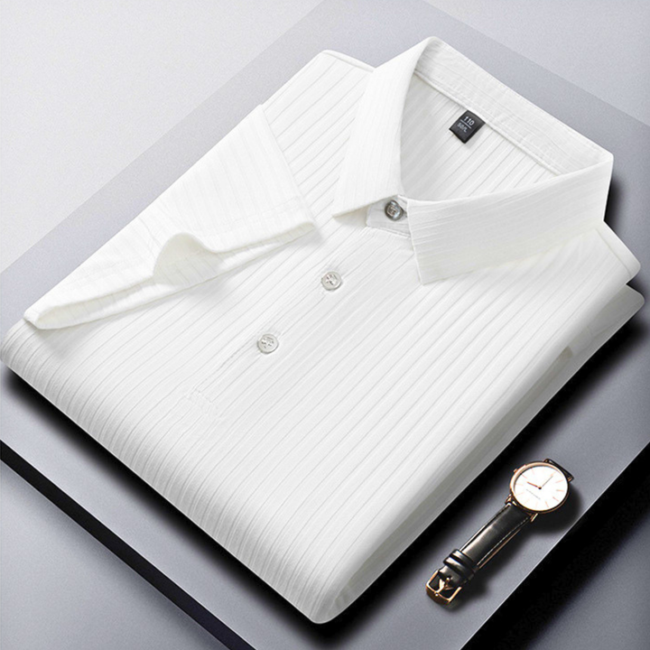 The Ariston Polo