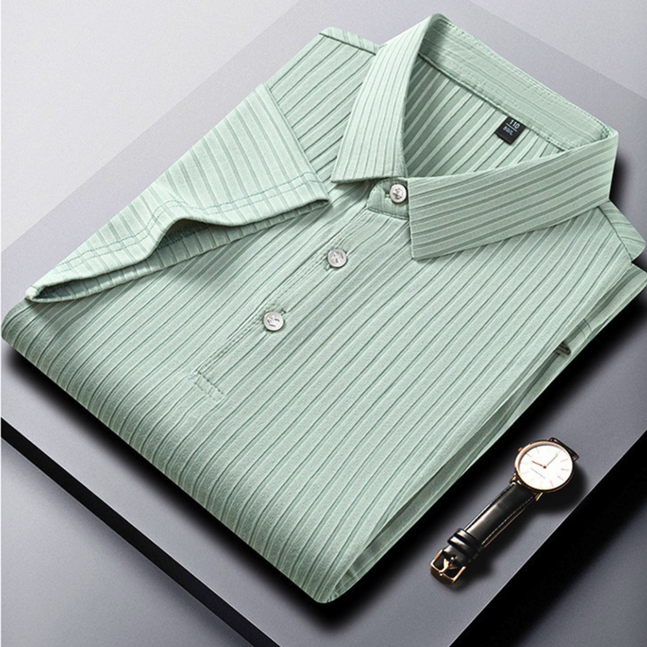 The Ariston Polo